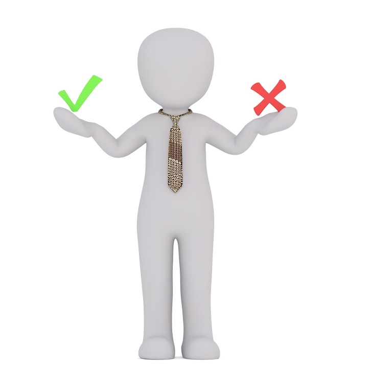 males-2339843_1280(17)